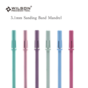 3.1mm Sanding Band Mandrel Mini and Portable Stainless Steel Bits Well Sun Inventive Nail Polish Tool Nail Bit
