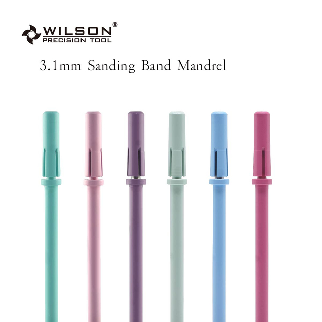3.1mm Sanding Band Mandrel Mini and Portable Stainless Steel Bits Well Sun Inventive Nail Polish Tool Nail Bit